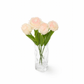AURA PETALS